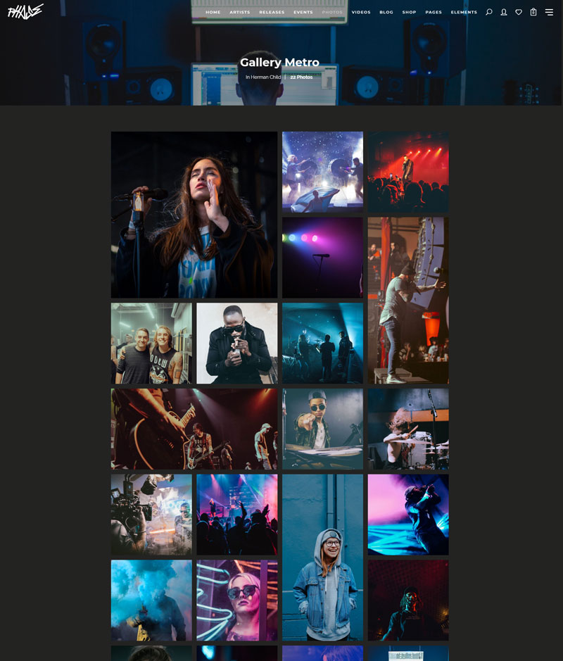 single-gallery single-gallery